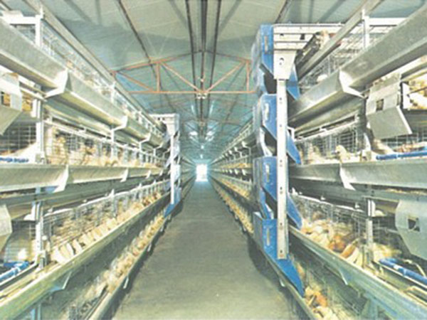 層疊式蛋雞籠養(yǎng)養(yǎng)雞設(shè)備